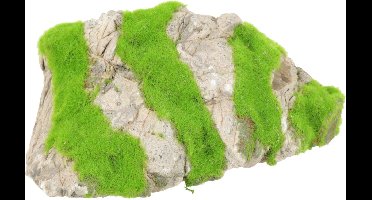 Zolux Groeiend Decor Steen Grijs - Aquarium - Ornament - M