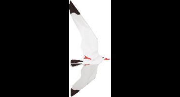 Rhombus Zeemeeuw Vlieger