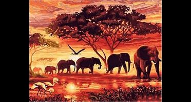 Vedes diamond painting knutselset olifanten savanne 30x40 cm schilderen.