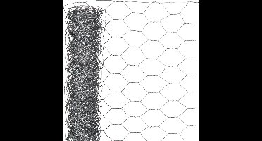 Nature - Verzinkt staal gaas - 0,5 x 10m - Grijs - 25 x 25mm mazen