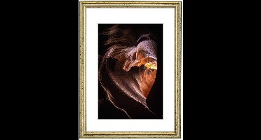 Hama Phoenix Goud Enkele fotolijst