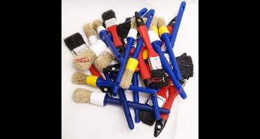 Wegwerpkwastenset - 25-delig