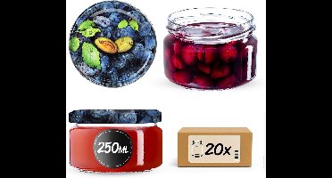 Set van 20 Jampotten met Schroefdeksel 250 ml - Ideaal voor Bewaren en Inmaken