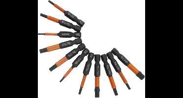 Screwdriver Bit Set - 11 Torx Bits - T6 - T7 - T8 - T9 - T10 - T15 - T20 - T25 - T27 - T30 - T40 - Lengte 50 mm - 1/4 Inch Hex Shank - Robuuste Opbergdoos