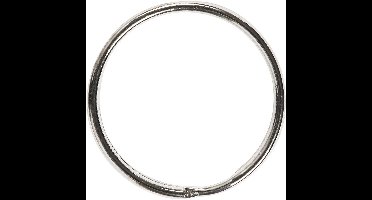 Sleutelringen - Sleutelhanger Ringen - DIY Sleutelhangers Maken - Metaalkleurig - Dia: 30 mm - 6 stuks