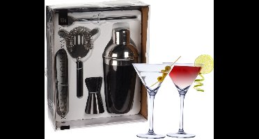 Excellent Houseware cocktails maken set 5-delig met 4x Martini glazen 220 ML