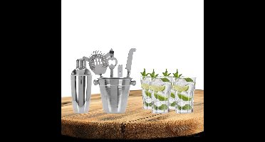 Excellent Houseware cocktails maken set 6-delig met 4x Mojito glazen 410 ML