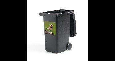 Container sticker Tapuit - Een tapuit kijkt vanaf een steen om zich heen - 40x40 cm - kliko sticker - weerbestendige containersticker