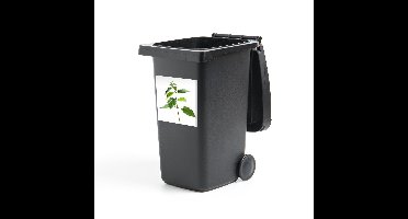 Container sticker Brandnetel - Een plant van een brandnetel - 40x40 cm - kliko sticker - weerbestendige containersticker