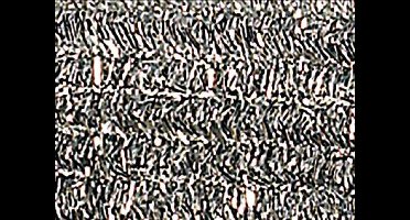 Chenilledraad Folia 50cm lang - 10 stuks zilver