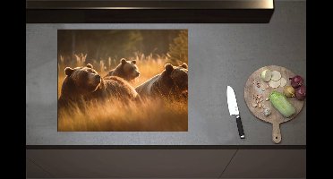 Inductieplaat Beschermer - Bruine beren in bruin gekleurd hoog gras - 70x55 cm - 2 mm Dik - Inductie Beschermer - Bescherming Inductiekookplaat - Kookplaat Beschermer van Wit Vinyl