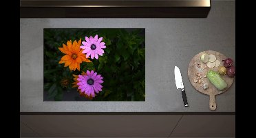 Inductieplaat Beschermer - Bovenaanzicht van Roze en Oranje Spaanse Margietjes Bloemen in de Struiken - 71x51 cm - 2 mm Dik - Inductie Beschermer - Bescherming Inductiekookplaat - Kookplaat Beschermer van Zwart Vinyl