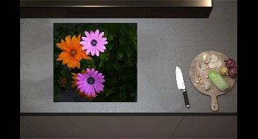 Inductieplaat Beschermer - Bovenaanzicht van Roze en Oranje Spaanse Margietjes Bloemen in de Struiken - 58x55 cm - 2 mm Dik - Inductie Beschermer - Bescherming Inductiekookplaat - Kookplaat Beschermer van Zwart Vinyl