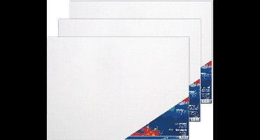 3x Canvas schildersdoeken 50 x 70 cm voor hobby verf schilderen - hobby materialen artikelen