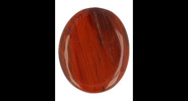Fossiel hout zaksteen Madagaskar