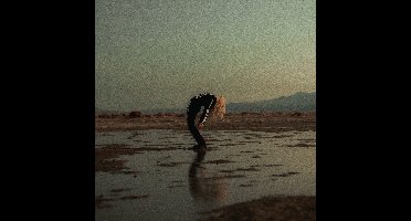 Phoebe Bridgers - Copycat Killer (12" Single)