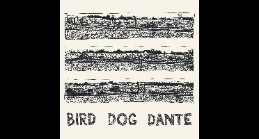 John Parish - Bird Dog Dante (LP)