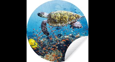 WallCircle - Muurstickers - Behangcirkel - Schildpad bij koraalrif - ⌀ 30 cm - Muurcirkel - Zelfklevend - Ronde Behangsticker