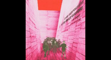 Blonde Redhead - In An Expression Of The Inexpressible (LP)