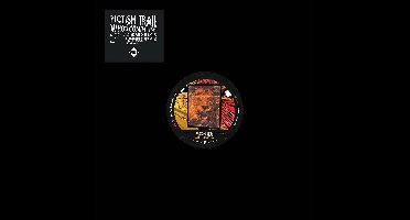 Pictish Trail - Who's Coming In (12" Vinyl Single)