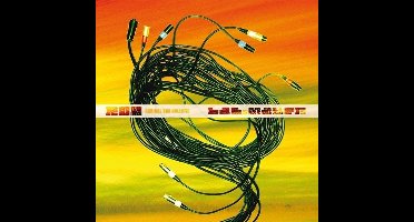Radikal Dub Kolektiv - Bass Matters (CD)