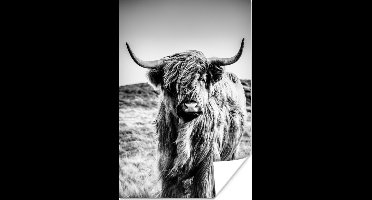 Poster Schotse hooglander - Natuur - Koe - Zwart - Wit - 20x30 cm
