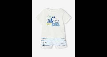 Babyset t-shirt en short blauw, gestreept