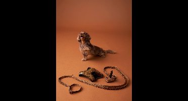 Hondenwandeling set: harnas + riem + halsband koffie