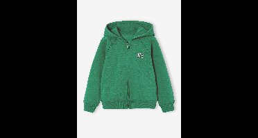 Sweater met rits jongen Basics groen