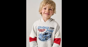 Sweater met capuchon met print gemêleerd grijs