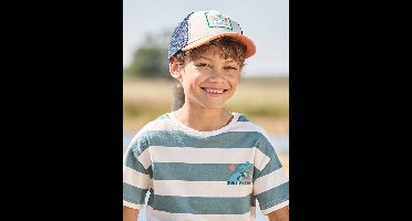 T-shirt jongen met brede strepen en borstmotief groen, gestreept