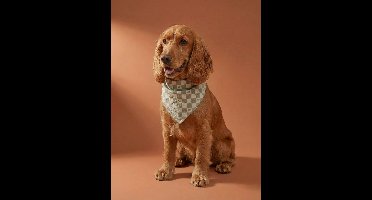 Bandanaslabbetje hond katoen wit, bedrukt