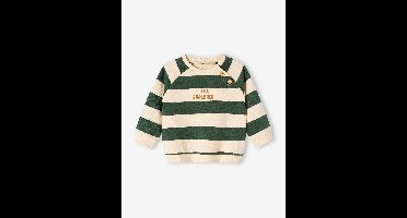 Gestreept sweatshirt van molton baby dennen