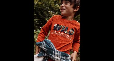 Jongensshirt met wild-motief in bouclé roest