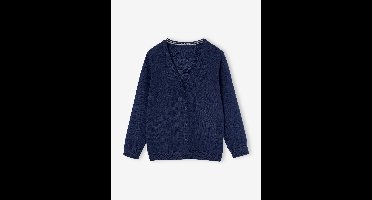 Gebreid vest met V-hals BASICS marineblauw