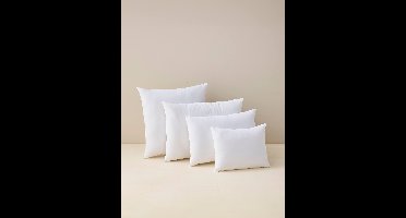 Zacht microvezel anti-huisstofmijt kussen met Sanitized®-behandeling wit