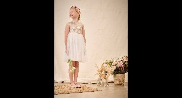 Feestjurk van tule met lovertjes en pailletten goud