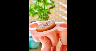 Diepvriesdoos voor verschillende porties, 6 x 150 ml, van BEABA roze