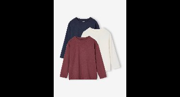 Set van 3 effen T-shirts terracotta