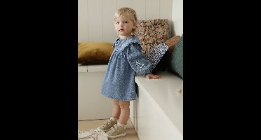 Geborduurde denim jurk baby stone