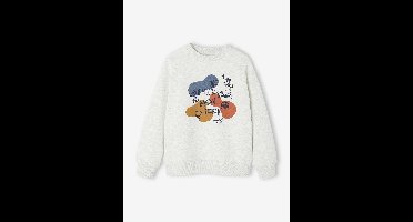 Sweater met ronde hals en geplaatste print voor jongens gemêleerd beige