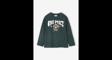 T-shirt ONE PIECE jongen dennen