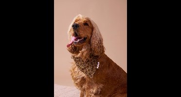 Bandana voor honden FAMILY bruin, bedrukt