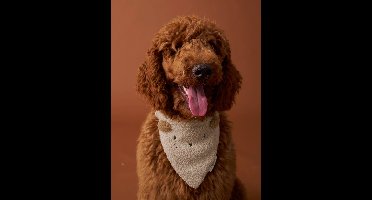 Bandanaslabbetje voor honden FAMILY ecru