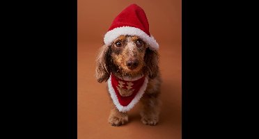 Bandanaslabbetje + kerstmuts voor de hond FAMILY rood