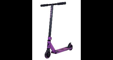 Panda - Cub mini Purple - Stuntstep Complete