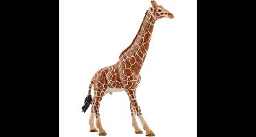 Schleich Wild Life - Giraf mannelijk speelfiguur