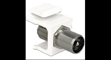 DeLOCK Keystone Module IEC male > F female adapter