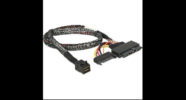 DeLOCK SFF-8643 male > U.2 SFF-8639 female + SATA voedingsstekker adapter
