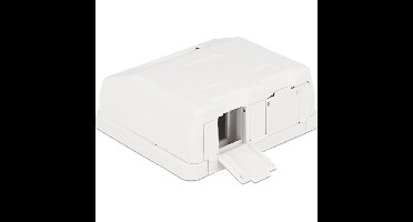 DeLOCK Keystone Surface Mounted Box 2 Port behuizing